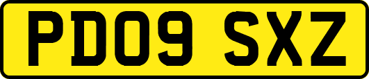 PD09SXZ
