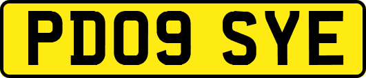 PD09SYE