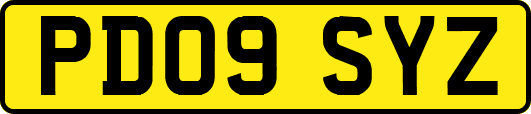 PD09SYZ