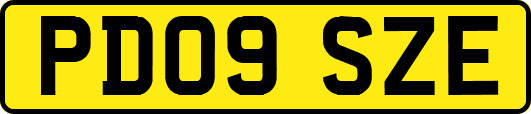 PD09SZE