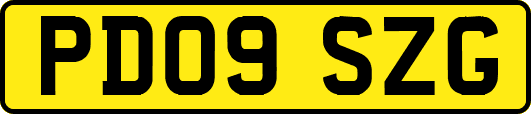 PD09SZG