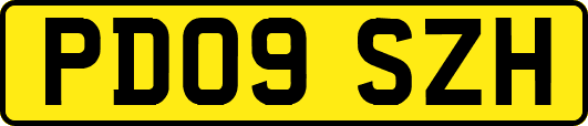 PD09SZH