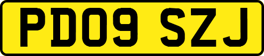 PD09SZJ