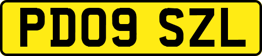 PD09SZL