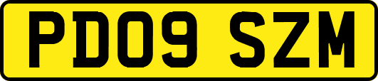 PD09SZM