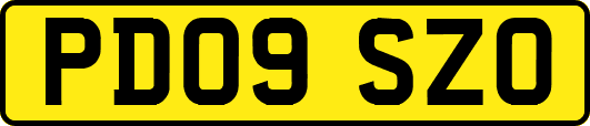 PD09SZO