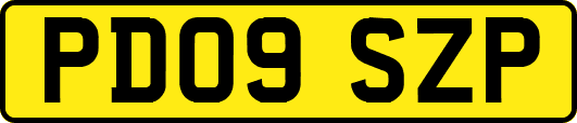 PD09SZP