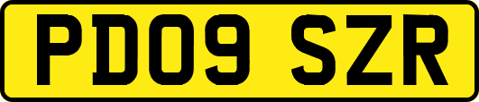 PD09SZR