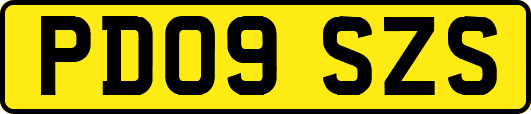 PD09SZS
