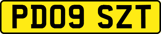 PD09SZT