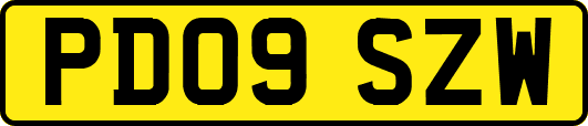 PD09SZW
