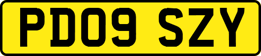 PD09SZY