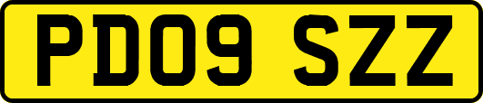 PD09SZZ