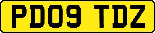 PD09TDZ