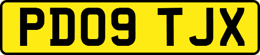 PD09TJX