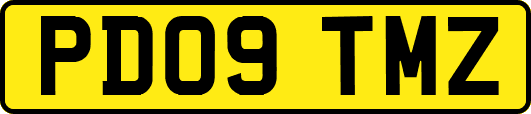 PD09TMZ