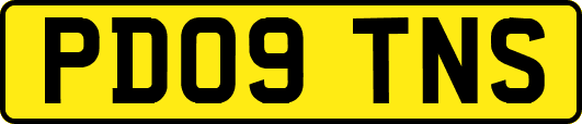 PD09TNS