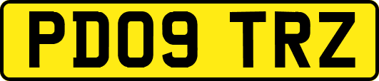 PD09TRZ
