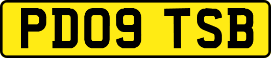 PD09TSB