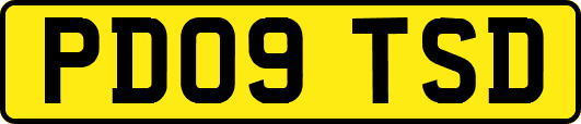 PD09TSD
