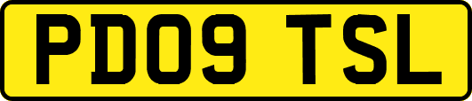 PD09TSL