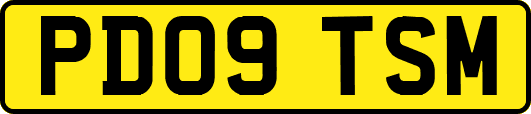 PD09TSM