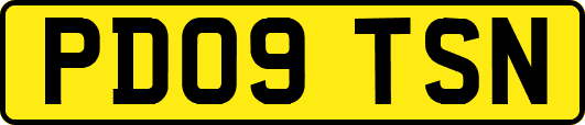 PD09TSN