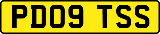 PD09TSS
