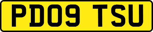 PD09TSU