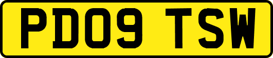 PD09TSW