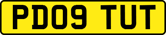 PD09TUT
