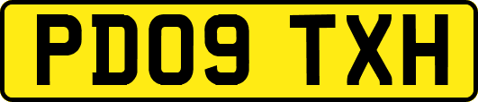 PD09TXH