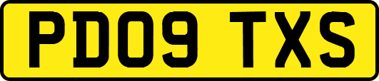PD09TXS