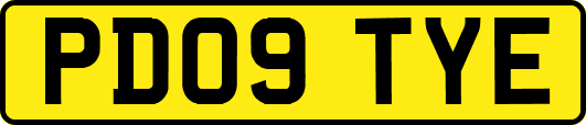 PD09TYE