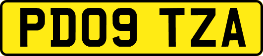 PD09TZA