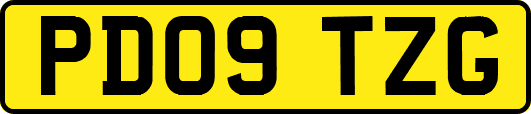 PD09TZG