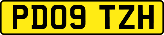 PD09TZH