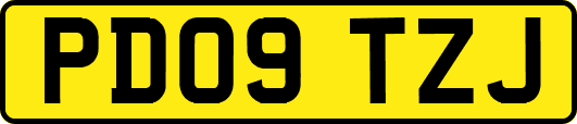PD09TZJ