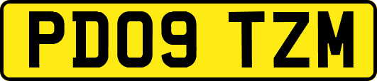 PD09TZM