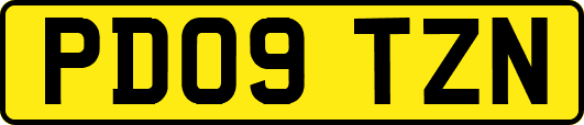 PD09TZN