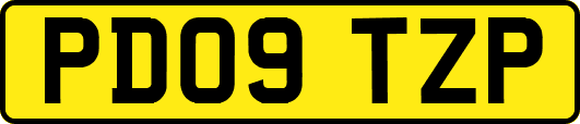 PD09TZP