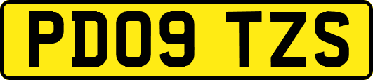 PD09TZS
