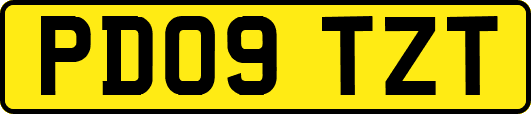 PD09TZT