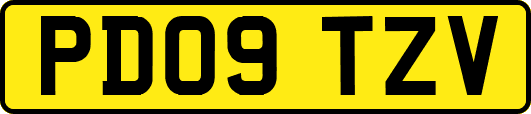 PD09TZV