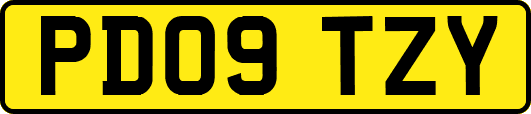 PD09TZY