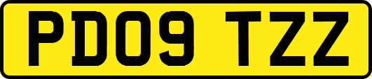 PD09TZZ