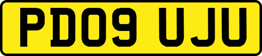 PD09UJU