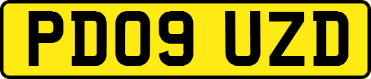 PD09UZD