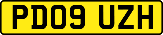PD09UZH