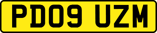 PD09UZM